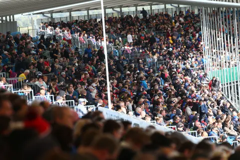 Crowd-1