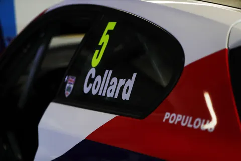 Collard-1