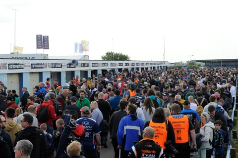 Crowd-4