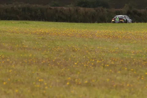 Goff-03