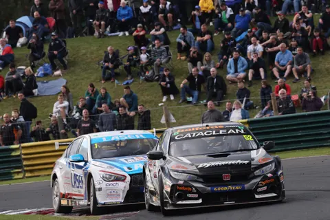 Shedden1