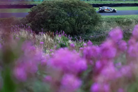 Shedden-03-5