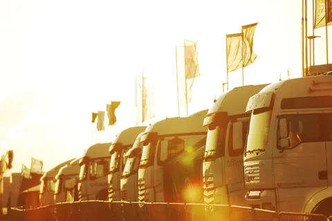 Paddock-01