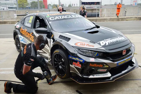 Shedden-04