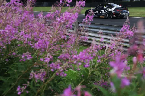 Chilton-01-2