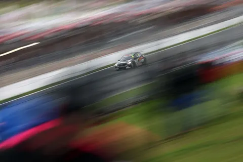 Shedden-2
