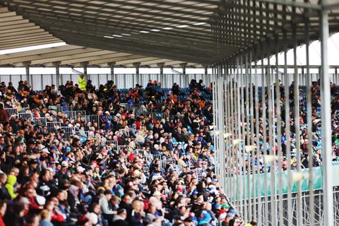 Fans-AASF0373
