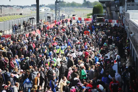 Pits-MAT11704