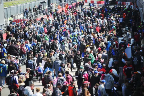 Pits-MAT11699