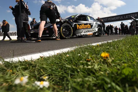 Shedden-7B1A0242