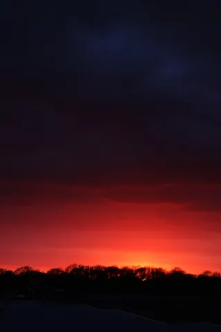 sky-7B1A6306