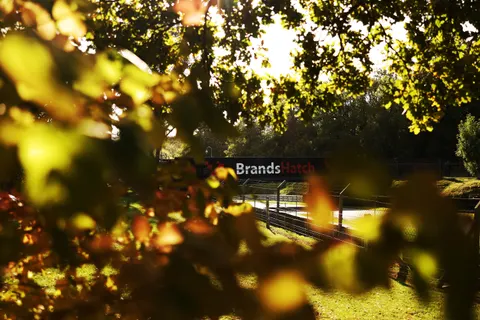 Brands-0H5A2772